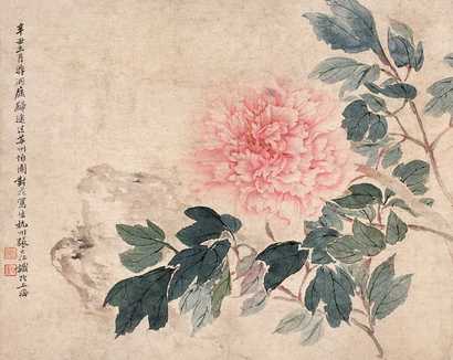 张大壮 辛丑（1961年）作 牡丹富贵 立轴